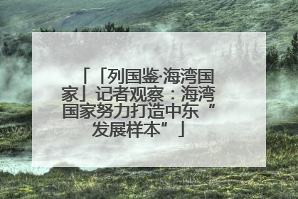「列国鉴·海湾国家」记者观察：海湾国家努力打造中东“发展样本”