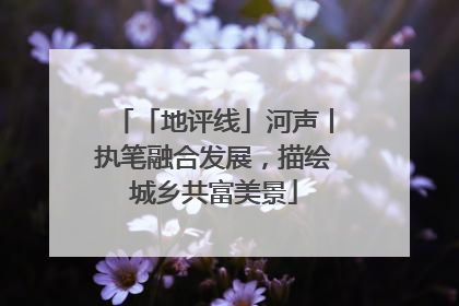 「地评线」河声丨执笔融合发展，描绘城乡共富美景
