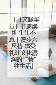 「文脉华章」非遗焕新 生生不息｜漫步六尺巷 感受礼让文化浸润的“巷”往生活