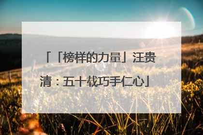 「榜样的力量」汪贵清：五十载巧手仁心