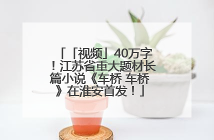 「视频」40万字！江苏省重大题材长篇小说《车桥 车桥》在淮安首发！