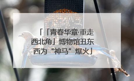 「青春华章·重走西北角」博物馆丑东西为“神马”爆火
