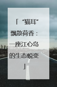 “猫耳”飘散荷香：一座江心岛的生态蜕变
