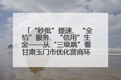 “秒批”提速、“全情”服务、“信用”生金——从“三级跳”看甘肃玉门市优化营商环境的进阶之路