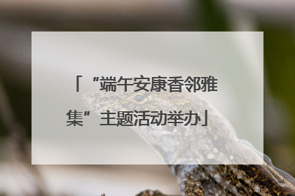 “端午安康香邻雅集”主题活动举办