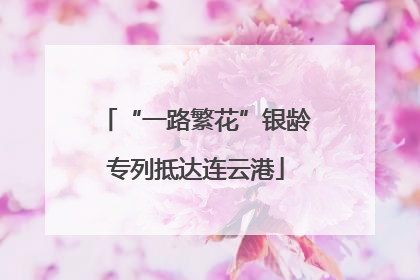 “一路繁花”银龄专列抵达连云港