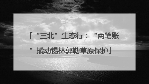 “三北”生态行：“两笔账”撬动锡林郭勒草原保护