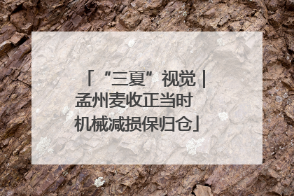 “三夏”视觉｜孟州麦收正当时 机械减损保归仓