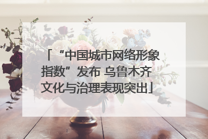 “中国城市网络形象指数”发布 乌鲁木齐文化与治理表现突出