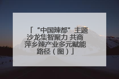 “中国辣都”主题沙龙集智聚力 共商萍乡辣产业多元赋能路径（图）