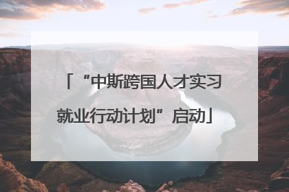 “中斯跨国人才实习就业行动计划”启动