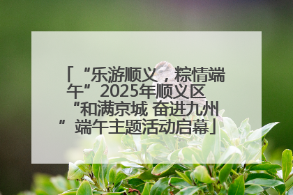 “乐游顺义，粽情端午”2025年顺义区“和满京城 奋进九州”端午主题活动启幕
