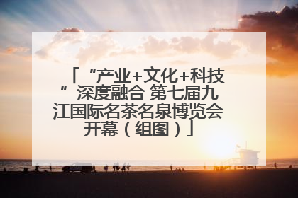 “产业+文化+科技”深度融合 第七届九江国际名茶名泉博览会开幕（组图）