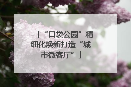 “口袋公园”精细化焕新打造“城市微客厅”