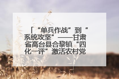 “单兵作战”到“系统攻坚”——甘肃省高台县合黎镇“四化一评”激活农村党员管理新引擎