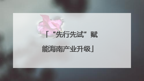 “先行先试”赋能海南产业升级