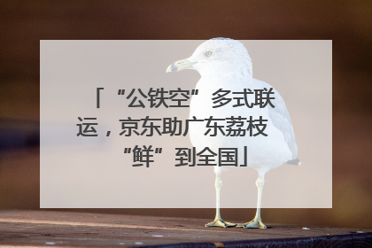 “公铁空”多式联运，京东助广东荔枝“鲜”到全国