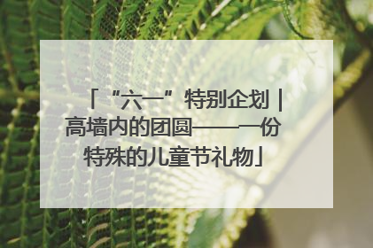 “六一”特别企划｜高墙内的团圆——一份特殊的儿童节礼物