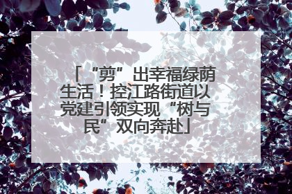 “剪”出幸福绿荫生活！控江路街道以党建引领实现“树与民”双向奔赴