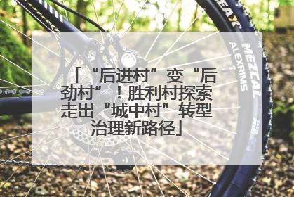 “后进村”变“后劲村”！胜利村探索走出“城中村”转型治理新路径
