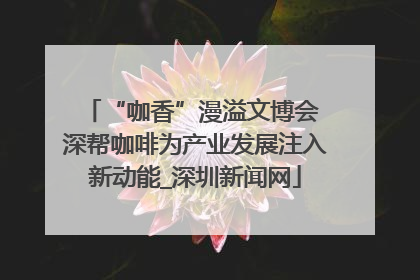 “咖香”漫溢文博会 深帮咖啡为产业发展注入新动能_深圳新闻网