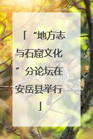 “地方志与石窟文化”分论坛在安岳县举行