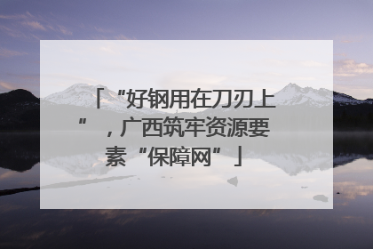 “好钢用在刀刃上”，广西筑牢资源要素“保障网”