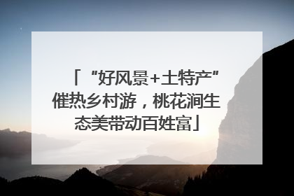 “好风景+土特产”催热乡村游，桃花涧生态美带动百姓富