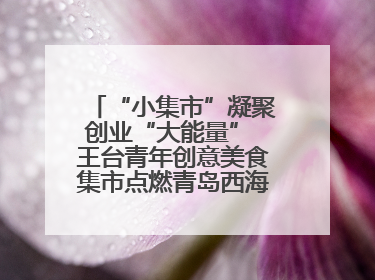 “小集市”凝聚创业“大能量” 王台青年创意美食集市点燃青岛西海岸新区北部新城夜经济