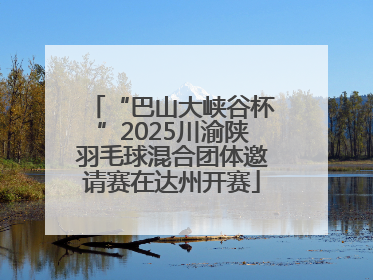“巴山大峡谷杯”2025川渝陕羽毛球混合团体邀请赛在达州开赛