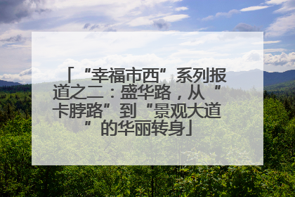“幸福市西”系列报道之二：盛华路，从“卡脖路”到“景观大道”的华丽转身