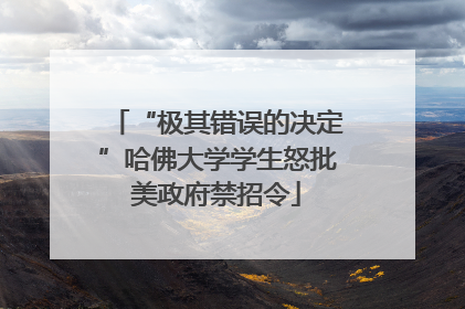 “极其错误的决定”哈佛大学学生怒批美政府禁招令