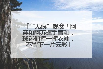 “无痕”观赛！阿连和阿苏握手言和，球迷们挥一挥衣袖，不留下一片云彩