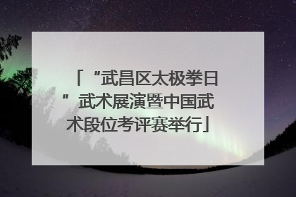 “武昌区太极拳日”武术展演暨中国武术段位考评赛举行