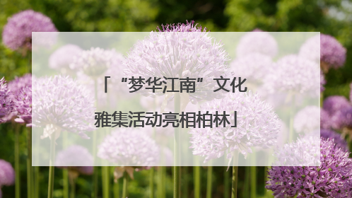 “梦华江南”文化雅集活动亮相柏林