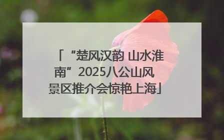 “楚风汉韵 山水淮南”2025八公山风景区推介会惊艳上海