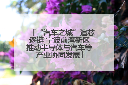 “汽车之城”追芯逐链 宁波前湾新区推动半导体与汽车等产业协同发展