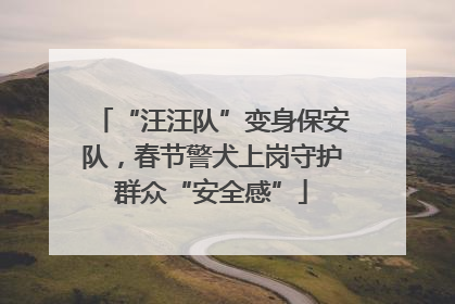 “汪汪队”变身保安队，春节警犬上岗守护群众“安全感”