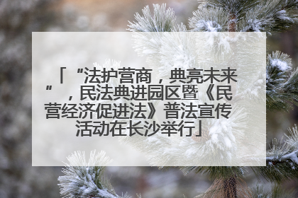 “法护营商，典亮未来”，民法典进园区暨《民营经济促进法》普法宣传活动在长沙举行