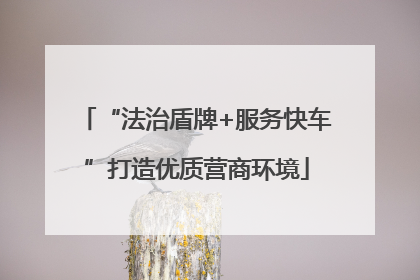 “法治盾牌+服务快车”打造优质营商环境