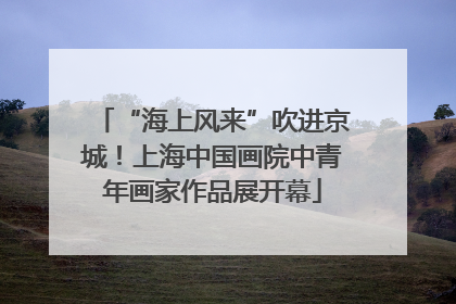 “海上风来”吹进京城！上海中国画院中青年画家作品展开幕