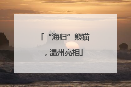 “海归”熊猫，温州亮相