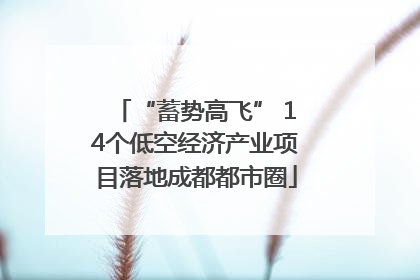 “蓄势高飞” 14个低空经济产业项目落地成都都市圈
