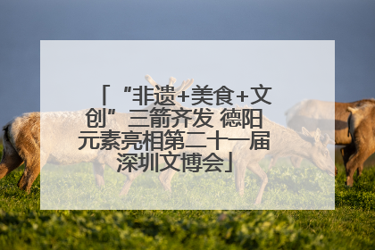 “非遗+美食+文创”三箭齐发 德阳元素亮相第二十一届深圳文博会