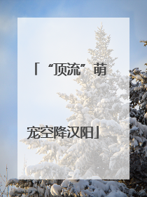 “顶流”萌宠空降汉阳
