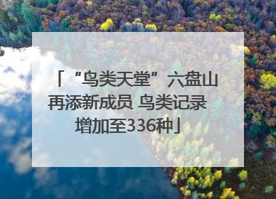 “鸟类天堂”六盘山再添新成员 鸟类记录增加至336种
