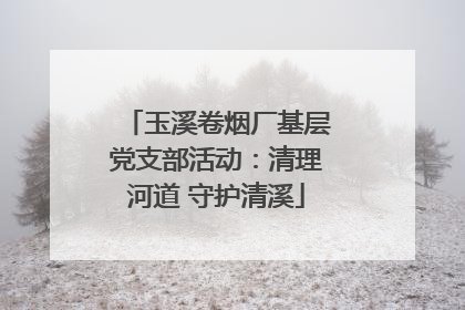 玉溪卷烟厂基层党支部活动：清理河道 守护清溪