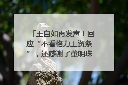 王自如再发声！回应“不看格力工资条”，还感谢了董明珠和雷军｜热财经