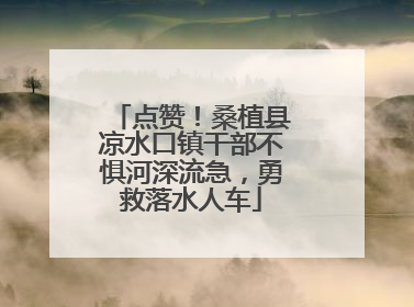 点赞！桑植县凉水口镇干部不惧河深流急，勇救落水人车