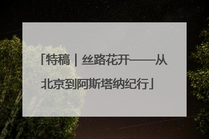 特稿｜丝路花开——从北京到阿斯塔纳纪行
